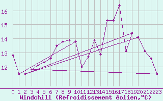 Courbe du refroidissement olien pour Elsenborn (Be)