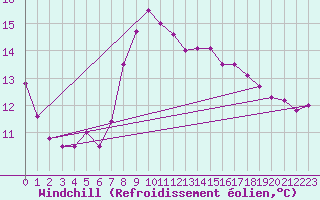 Courbe du refroidissement olien pour Plauen