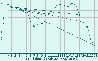 Courbe de l'humidex pour Pizen-Mikulka