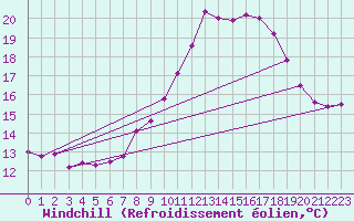 Courbe du refroidissement olien pour Neuhaus A. R.