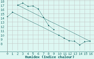 Courbe de l'humidex pour Bendigo Airport Aws