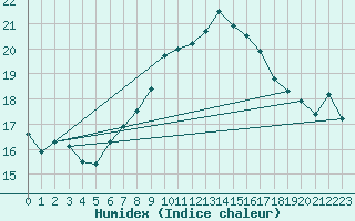 Courbe de l'humidex pour Weiden