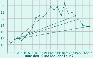 Courbe de l'humidex pour Shoream (UK)