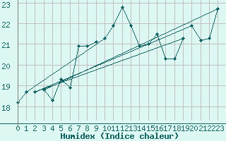 Courbe de l'humidex pour Kelibia
