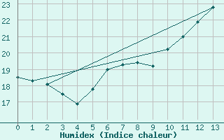 Courbe de l'humidex pour Padesu / Apa Neagra