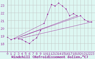 Courbe du refroidissement olien pour Pointe de Chassiron (17)