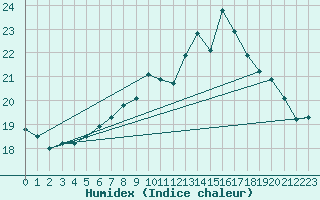 Courbe de l'humidex pour Tirgu Jiu