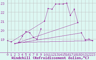 Courbe du refroidissement olien pour Ile d