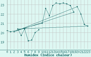 Courbe de l'humidex pour Biarritz (64)