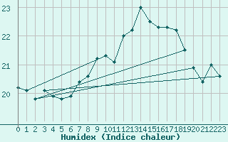 Courbe de l'humidex pour Torpup A