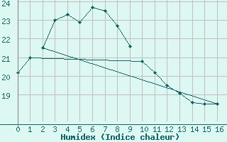 Courbe de l'humidex pour Suwa