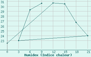 Courbe de l'humidex pour Borovici