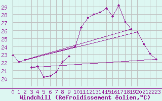 Courbe du refroidissement olien pour Sallles d