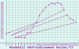 Courbe du refroidissement olien pour Touggourt