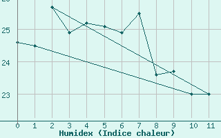 Courbe de l'humidex pour Tsuruga