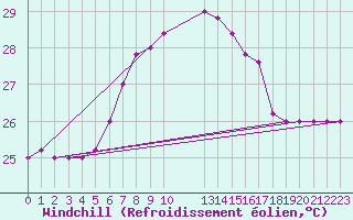 Courbe du refroidissement olien pour Capo Palinuro