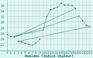 Courbe de l'humidex pour Haegen (67)