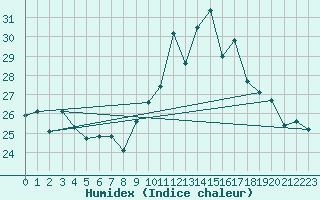 Courbe de l'humidex pour Hoernli