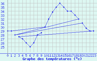 Courbe de tempratures pour Touggourt