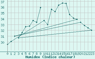 Courbe de l'humidex pour Ponza