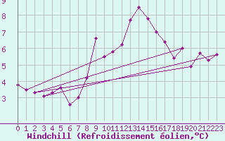 Courbe du refroidissement olien pour Zeebrugge
