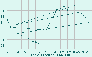 Courbe de l'humidex pour Pires Do Rio
