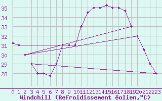 Courbe du refroidissement olien pour Biskra