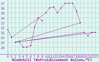 Courbe du refroidissement olien pour Biskra