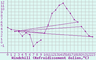 Courbe du refroidissement olien pour Ble - Binningen (Sw)