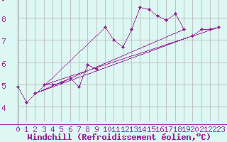 Courbe du refroidissement olien pour Pointe du Raz (29)