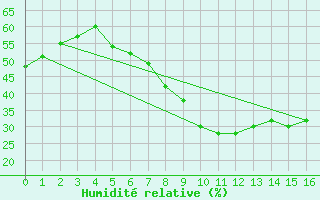 Courbe de l'humidit relative pour Muskau, Bad