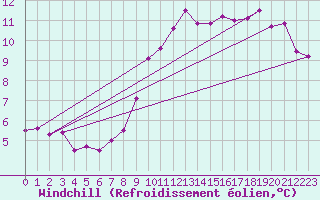 Courbe du refroidissement olien pour Zeebrugge