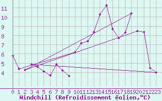 Courbe du refroidissement olien pour Anvers (Be)