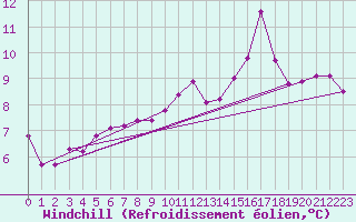 Courbe du refroidissement olien pour Luc-sur-Orbieu (11)