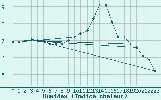 Courbe de l'humidex pour Neustadt am Kulm-Fil