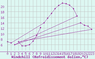 Courbe du refroidissement olien pour Chinchilla