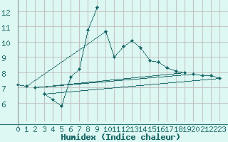 Courbe de l'humidex pour Elzach-Fisnacht