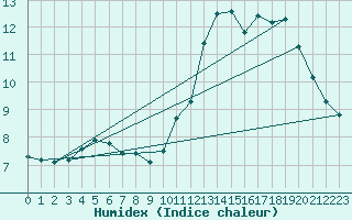 Courbe de l'humidex pour Mont-Aigoual (30)