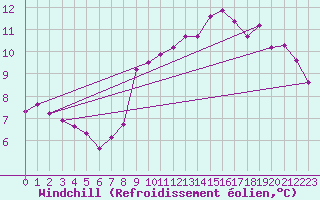 Courbe du refroidissement olien pour Ile d