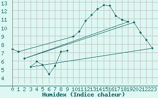 Courbe de l'humidex pour Salen-Reutenen
