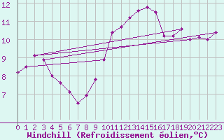Courbe du refroidissement olien pour Cabauw Tower