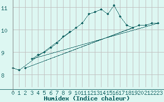 Courbe de l'humidex pour Le Talut - Belle-Ile (56)