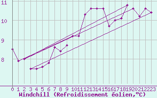 Courbe du refroidissement olien pour le bateau DBEA