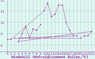 Courbe du refroidissement olien pour Ponza
