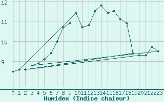 Courbe de l'humidex pour Feldberg-Schwarzwald (All)