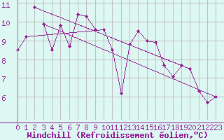 Courbe du refroidissement olien pour Biere
