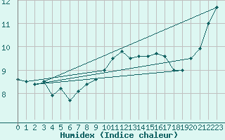 Courbe de l'humidex pour Wiesenburg