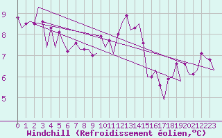 Courbe du refroidissement olien pour Maastricht / Zuid Limburg (PB)