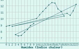 Courbe de l'humidex pour Robiei