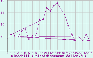 Courbe du refroidissement olien pour Hoek Van Holland